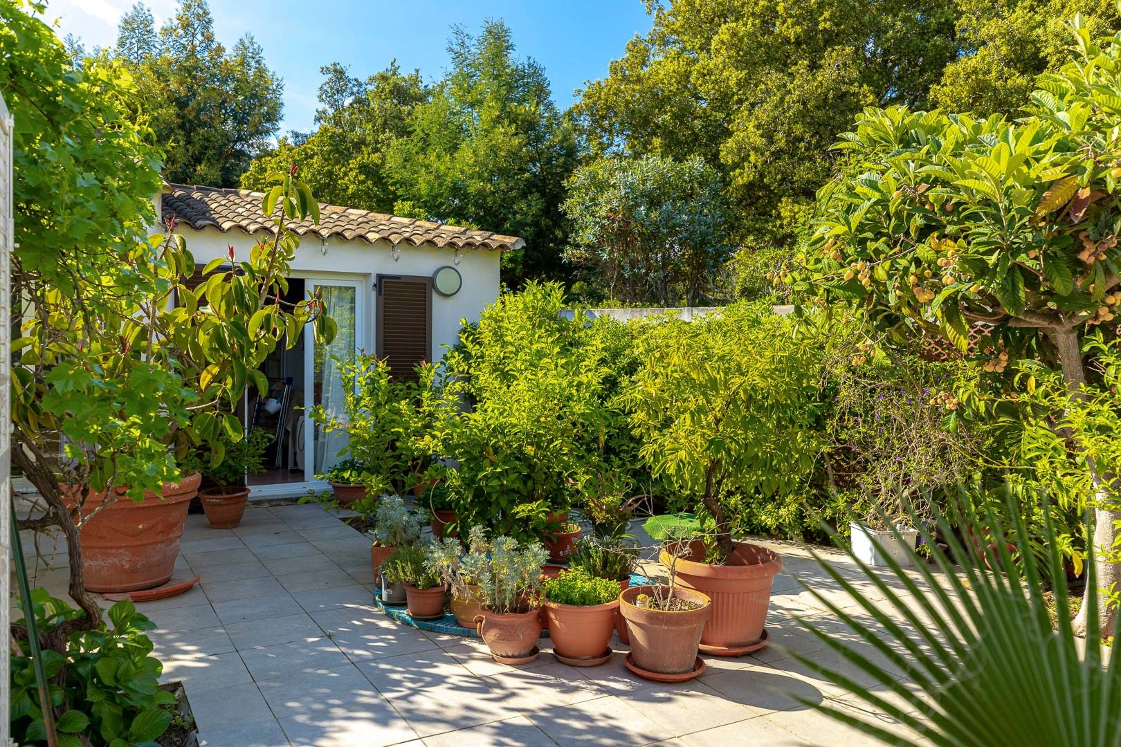 Acheter Villa 10&nbsp;Pièces 237&nbsp;m² Lecci